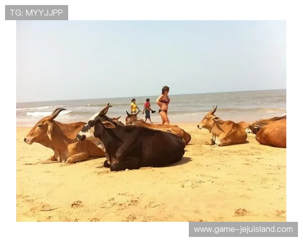 比基尼娱乐场：打造专属你的海滩娱乐休闲新体验